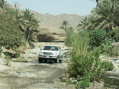 white SUV on dirt road near plants thumbnail