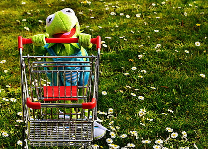 Kermit the frog holding shopping cart thumbnail