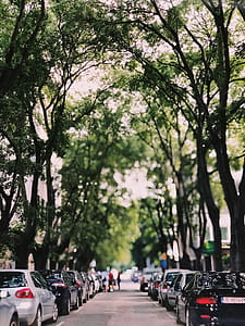 Cars Parked On Side Of Road thumbnail