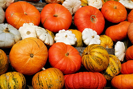 white, brown, and red squash lot thumbnail