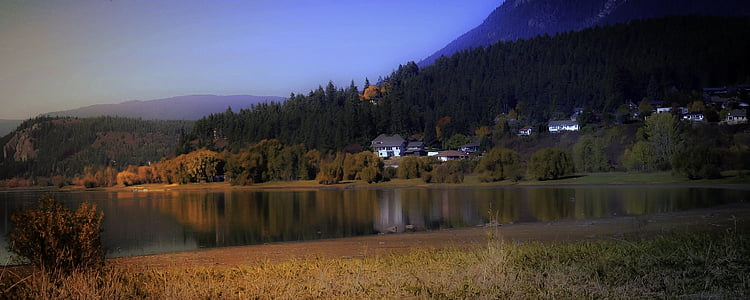 calm body of water surrounded with trees thumbnail