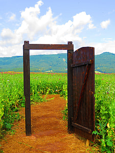 brown wooden door near flower field s thumbnail