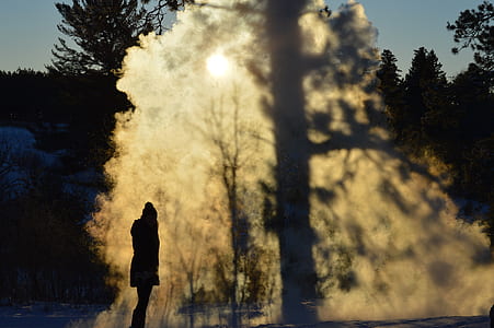 person standing beside tree during daytime thumbnail