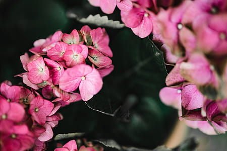 Autumn Details thumbnail