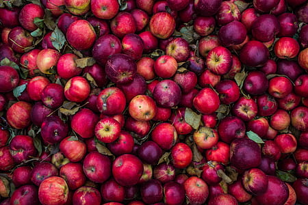 purple and red Apple lot thumbnail