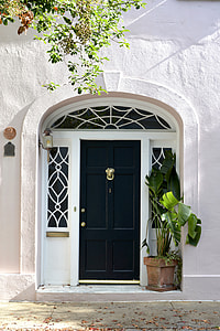 photo of closed black wooden panel door thumbnail