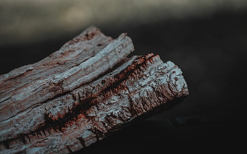 close-up photography of brown wood thumbnail