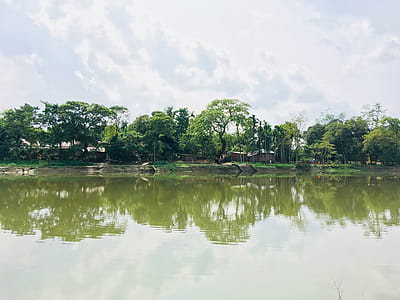 Body of Water Near Trees Under Cloudy Sky thumbnail