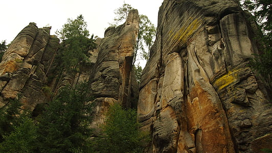 low angle photography of rock formation with green leafed plant thumbnail