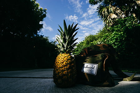 pineapple beside Herschel bag on ground thumbnail