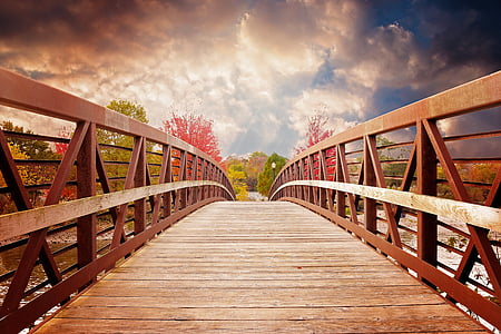 brown wooden bridge at daytime thumbnail