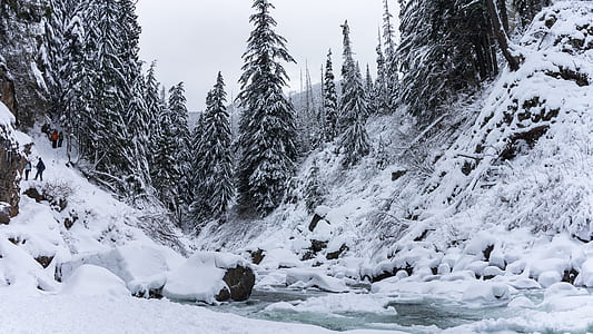 steam surrounded with trees covered with snow thumbnail