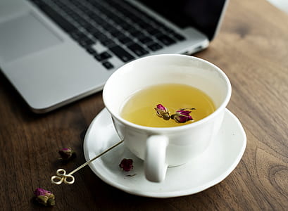 white ceramic teacup on white saucer beside MacBook Pro thumbnail