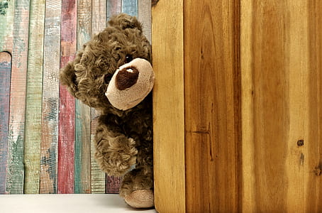 brown bear peeking on wooden panel thumbnail