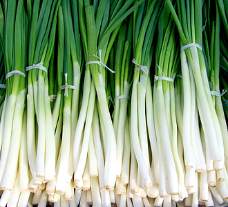 bundle of spring onions thumbnail
