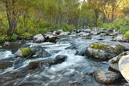 time lapse photography of flowing water surrounded with trees thumbnail