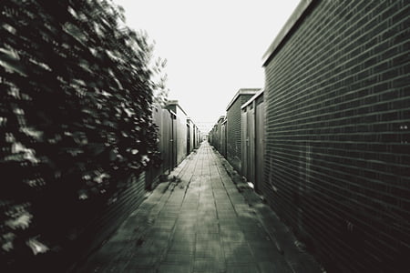 grayscale photography of street thumbnail