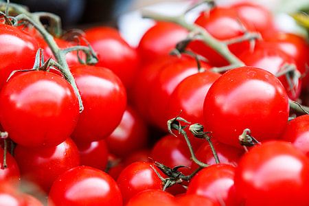 closeup photo of tomatoes thumbnail