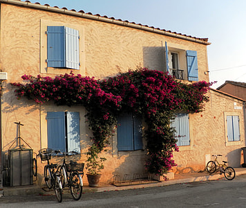 Porquerolles, Mediterranean thumbnail
