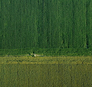 aerial view photography of green grass field thumbnail