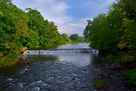 landscape photography of river and trees thumbnail