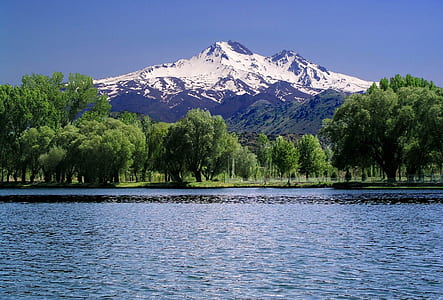 green trees near lake and mountains during daytime thumbnail