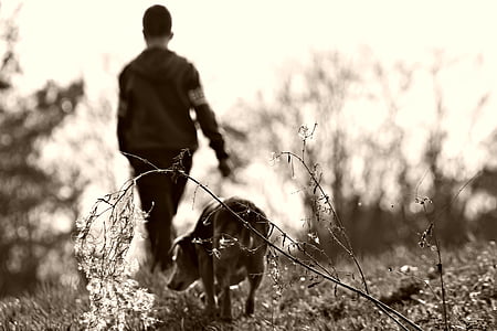 man walking on grass field with dog during daytime thumbnail