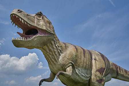 Tyrannosaurus Rex statue thumbnail