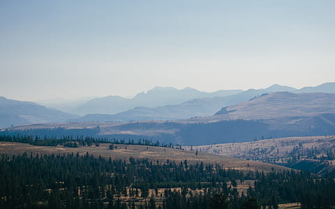 beige hills thumbnail