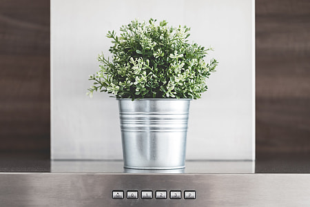 Kitchen Decoration: Green Flower in Metallic Flowerpot thumbnail