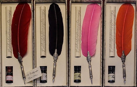 four assorted-color feather pens thumbnail