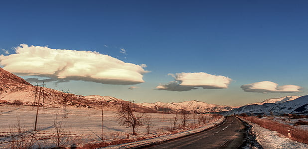 road between trees with mountain at distance at daytime thumbnail