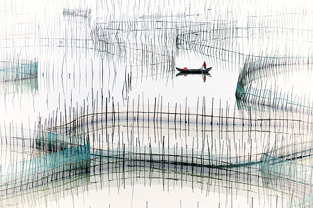 fishpond drawing thumbnail