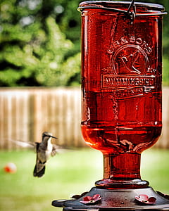 selective focus photography of red footed glass thumbnail