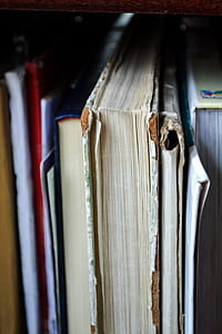 Closeup Photo of Book Filed on Shelf thumbnail