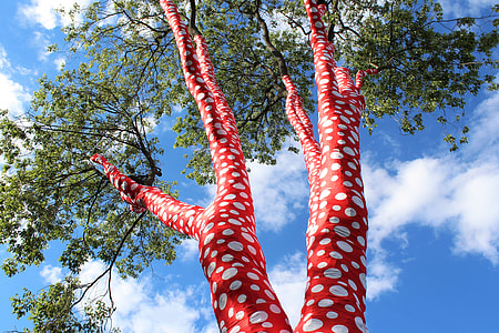 low angle photography of green tall trees thumbnail