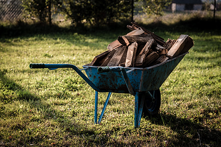 blue wheelbarrow with firewoods on green lawn thumbnail