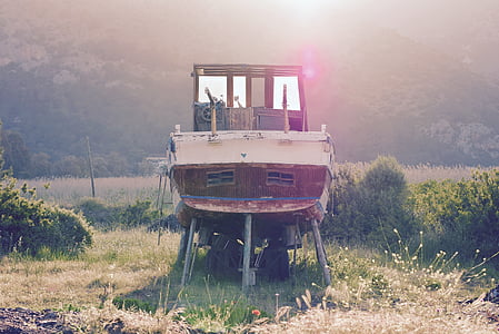 white boat near green leafed plants thumbnail