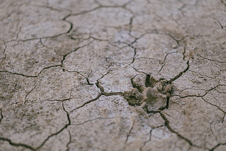 desert, dry, ground, environment thumbnail
