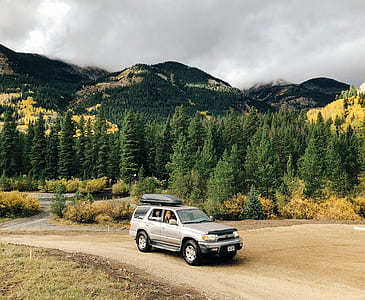 people riding grey Chevrolet vehicle near green pine trees thumbnail