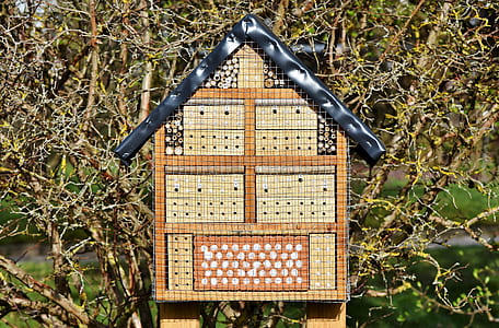 brown an black wooden birdhouse near twigs at daytime thumbnail