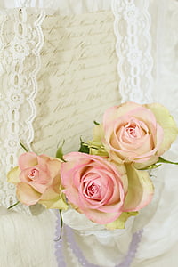 pink and yellow rose flowers thumbnail