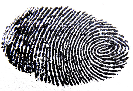 human thumb mark finger print thumbnail