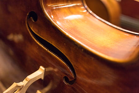 close-up photography of stringed instrument thumbnail