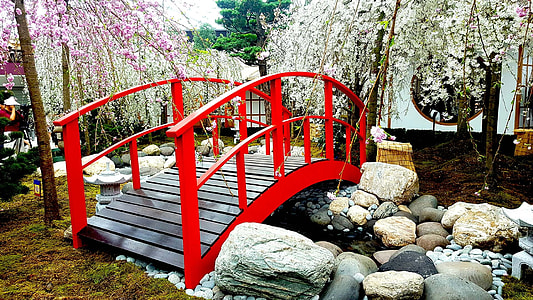 mini bridge under trees thumbnail