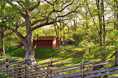 brown house surrounded by trees during daytime thumbnail