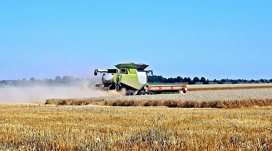 green heavy equipment in midst of wheat field thumbnail