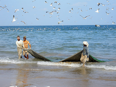three fishermen pulling green mesh fishnet thumbnail