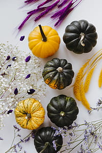 Small yellow and dark green pumpkins on a white background thumbnail