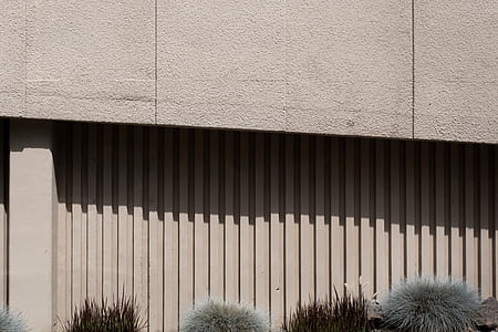 green and brown plants near gray concrete building at daytime thumbnail